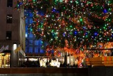 Under the Christmas Tree