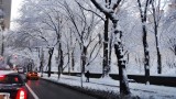 Along Central Park