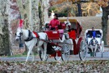 Pleasure carriage ride