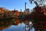 Fall colors in the City