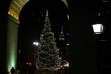 Walking through the Night