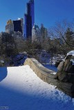 Wintery blue CP