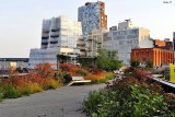 At High Line Park