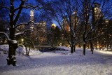 Winter scene at dusk