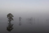 Horseshoe Lake