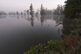 Horseshoe Lake Miller City, Illinois