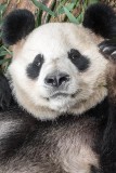 Hi!