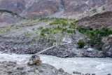 River Crossing