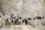 Road Block