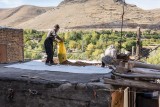 Spreading Walnuts to Dry