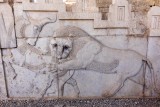 Struggle between a Lion & a Bull 