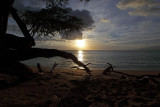 Towards sunset - 2