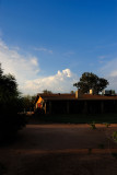 D70_7165.jpg