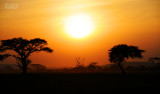 Sunset Serengeti
