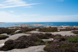 Bohuslan_Coast-54.jpg