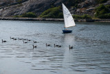 Bohuslan_Coast-62.jpg