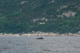 Quebec2016-84.jpg