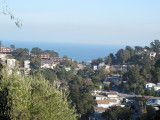 View from Kings between San Mato Lane and Trinity