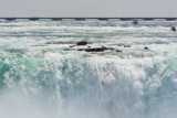 _D721485.jpg