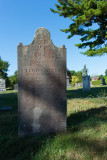 _D721538.jpg
