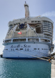 Cruise 2014