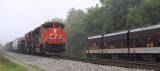 NS 116 with a pair of CN motors meets 955 at Danville KY