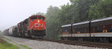 NS 116 with a pair of CN motors meets 955 at Danville KY 