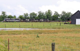 NS 142 rolls through the farmland between Moreland and Bowen on a wet afternoon 