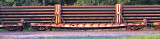 Southbound Rail Train at Southfork