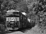 NS 111 comes up the hill at Alton with 8 motors and a long train 