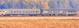 A pair of NYC cars including the Hickory Creek Obs bring up the rear of the train near Roanoke