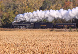 Westbound through the recently cut corn near Rich Valley 