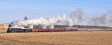 The train drifts through Clymers after crossing the CSX Diamond. Check out that massive pile of corn near the front of 765!