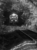 In the shadows at Cowen Tunnel 