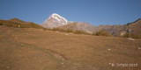 Mount Kazbeg