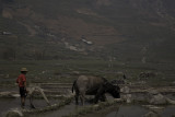 Vietnam-419.jpg