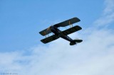 Tiger Moth 3298