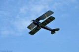 Tiger Moth 3299