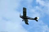 Tiger Moth 3302