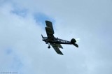 Tiger Moth 3303