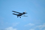 Tiger Moth 3304