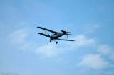 Tiger Moth 3305