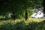 Cranborne 1997