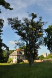 Cranborne 2001