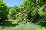 Charborough Park 0014