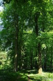 Charborough Park 0055