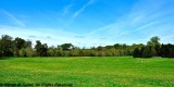 Kingston Lacy 4706