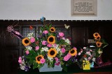 Wimborne St Giles 5696