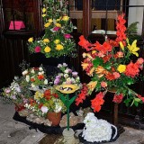 Wimborne St Giles 5724
