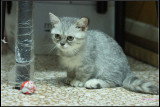 DSC04427.jpg